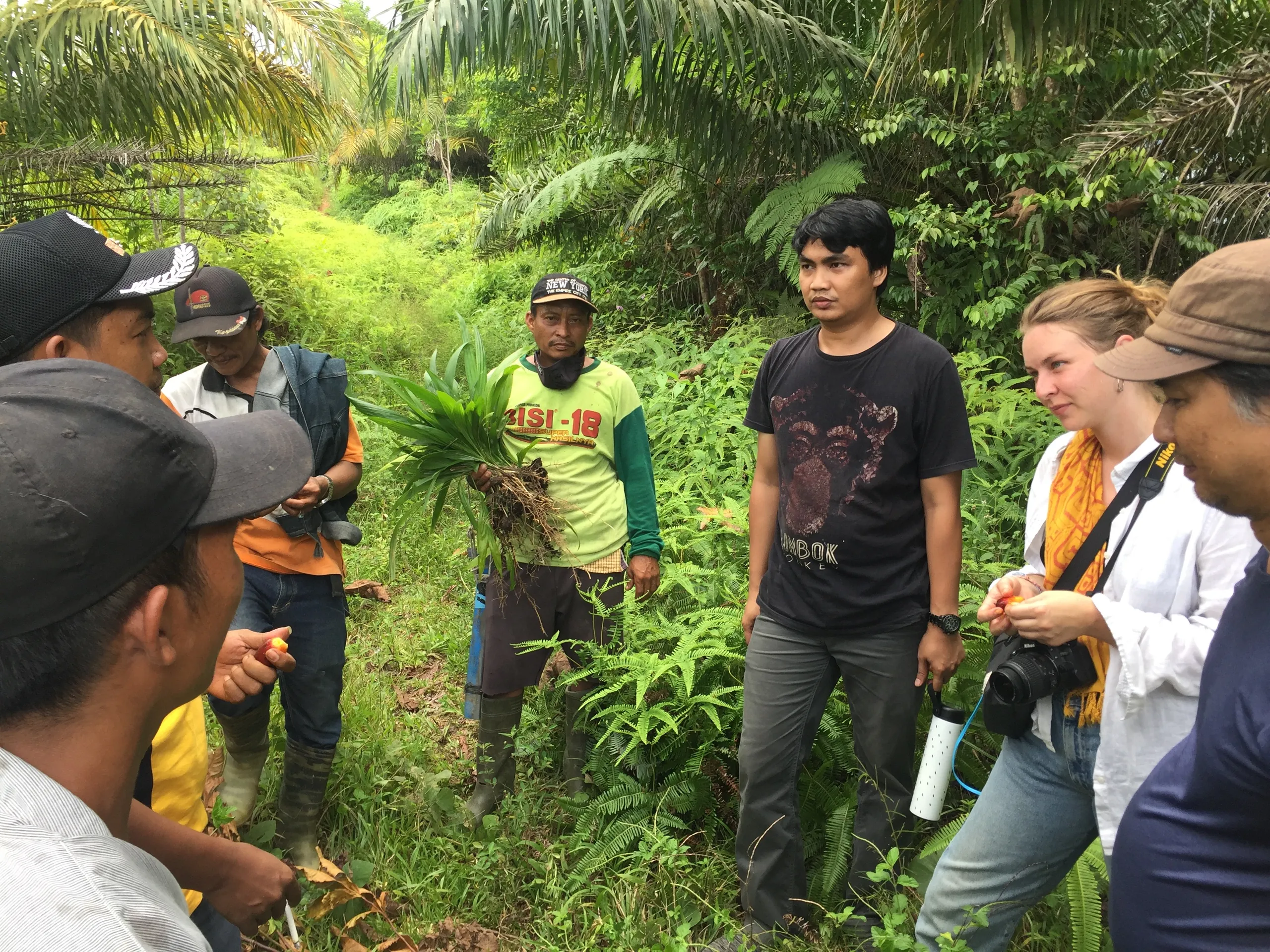 Indonesian Greenbelt Initiative