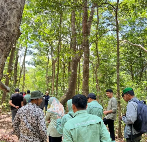 hutanpendidikan