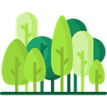 m_forest